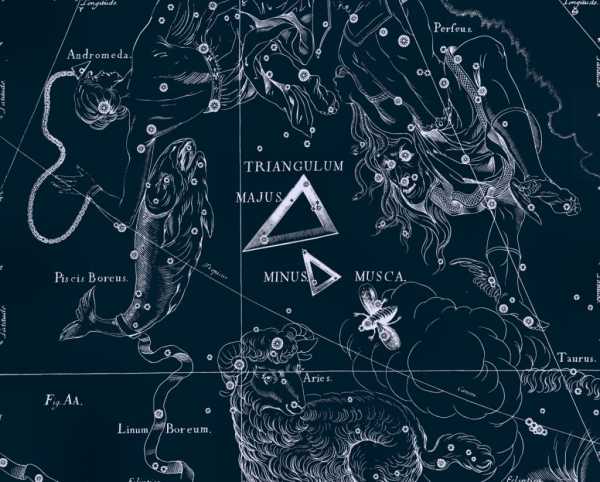 Муха, рисунок Яна Гевелия из его атласа созвездий Муха, рисунок Яна Гевелия из его атласа созвездий