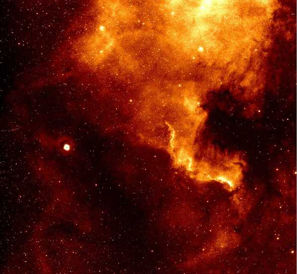 Туманность NGC 7000