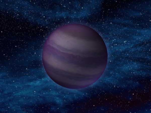 WISE 0350-5658